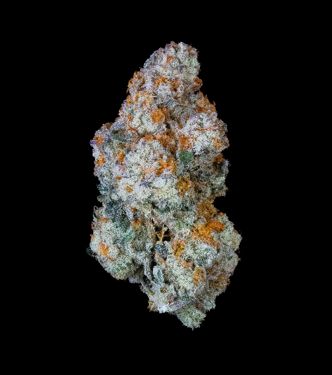 Photograph of product: Brix Oui'd Whole Flower B Yo (I) 00206 - 3.5g