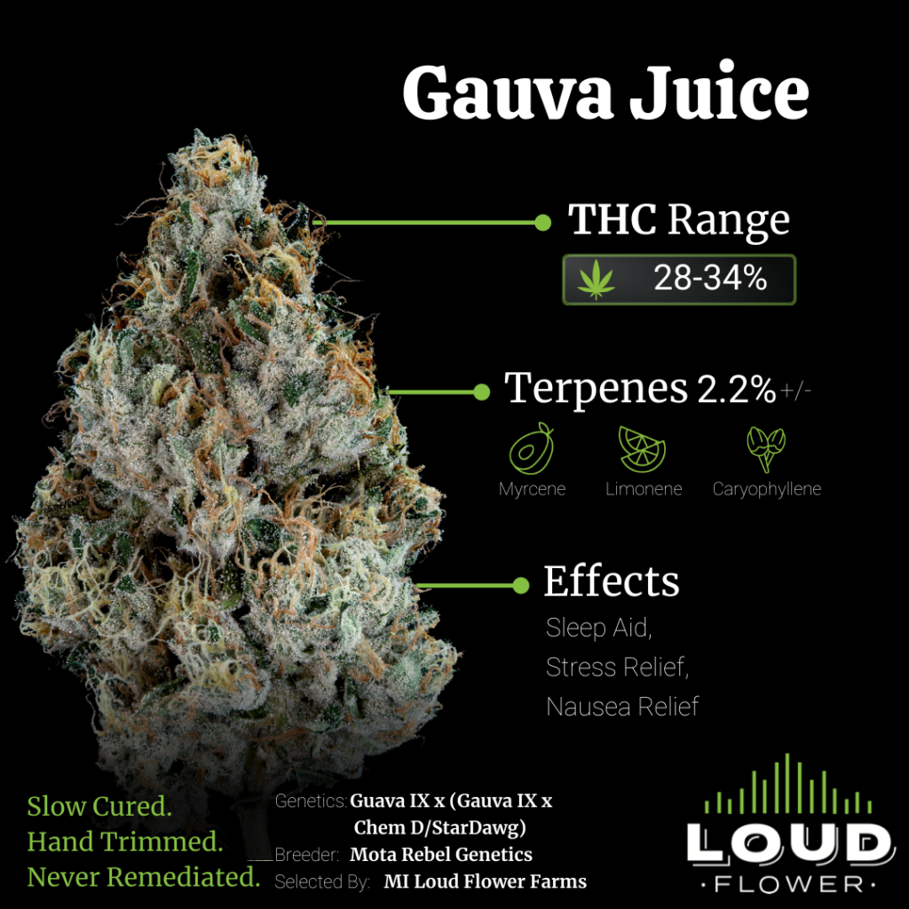 Photograph of product: Guava Juice | MI Loud Flower Farms - 28g