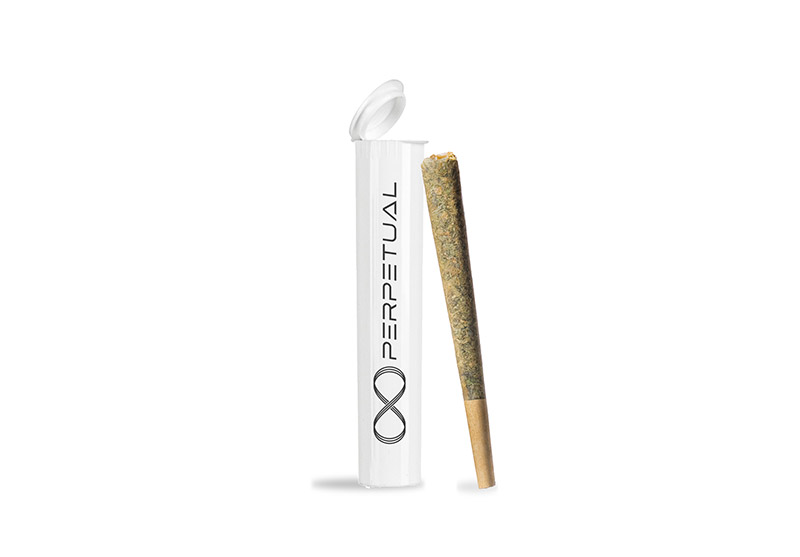 Photograph of product: Tangerine Punch (IH) - .5g PR