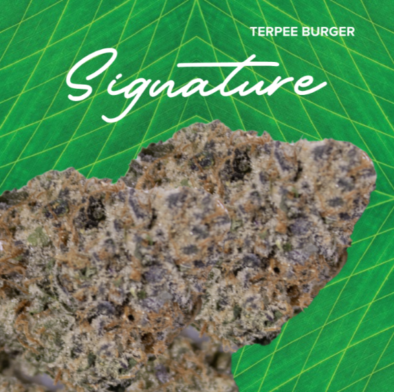 Photograph of product: Signature | Terpee Burger | 3.5g