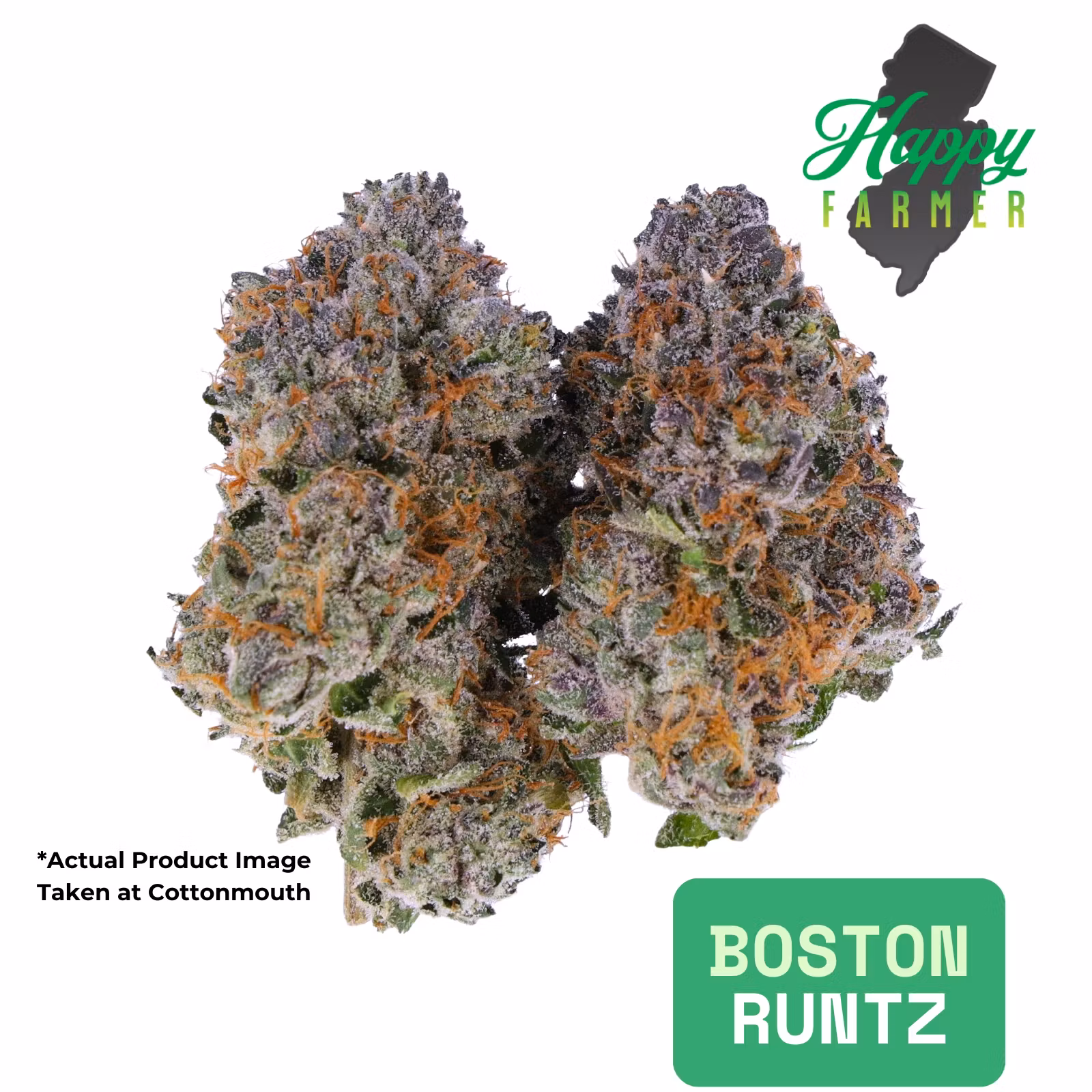 Photograph of product: Boston Runtz (3.5g)
