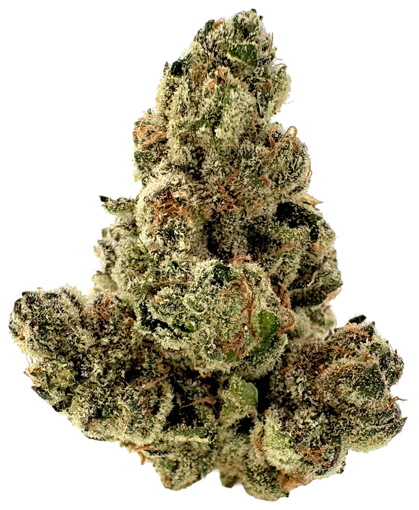 Photograph of product: Sense | Double Up | 3.5G