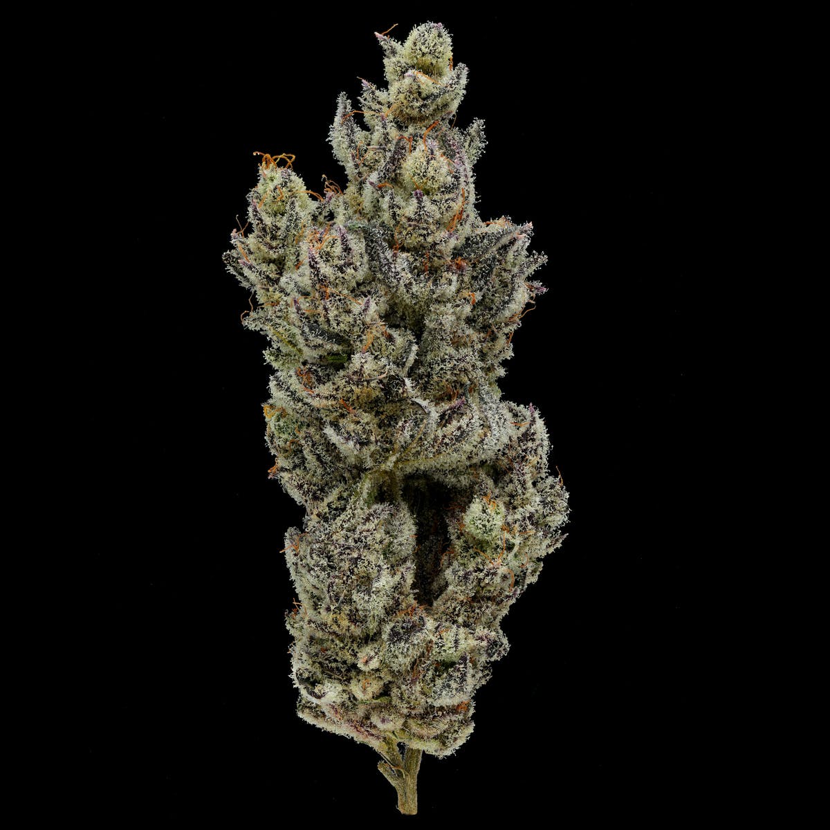 Photograph of product: Fig Farms: 8th-Holy Moly!