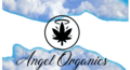 thumbnail-Size Logo for storeLogo: Angel Organics