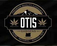 Photograph of product: Otis Gardens - SPARKLING LIME - S - 7g