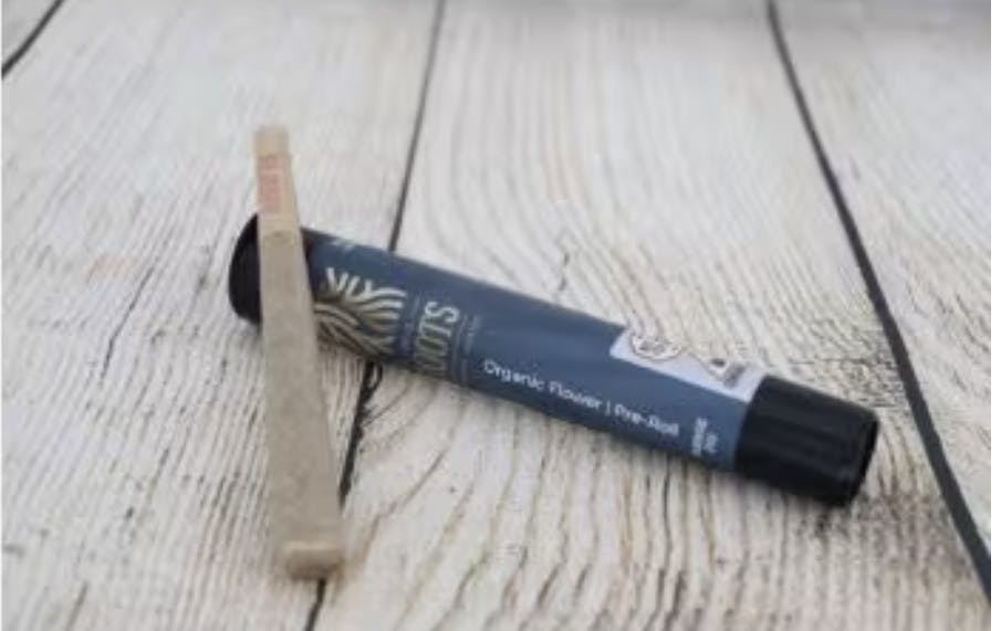 Photograph of product: Local Roots | Jack Skunk #1 1g Pre-roll