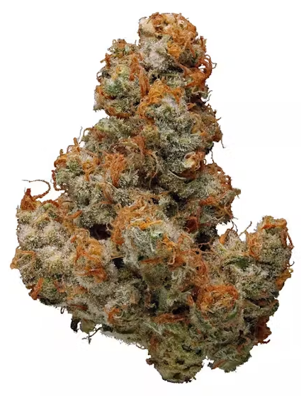Photograph of product: RED | Widow's Cookies - 28g