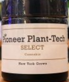 Photograph of product: Pioneer Plant-Tech - Sweet Tooth - Flower - 1g