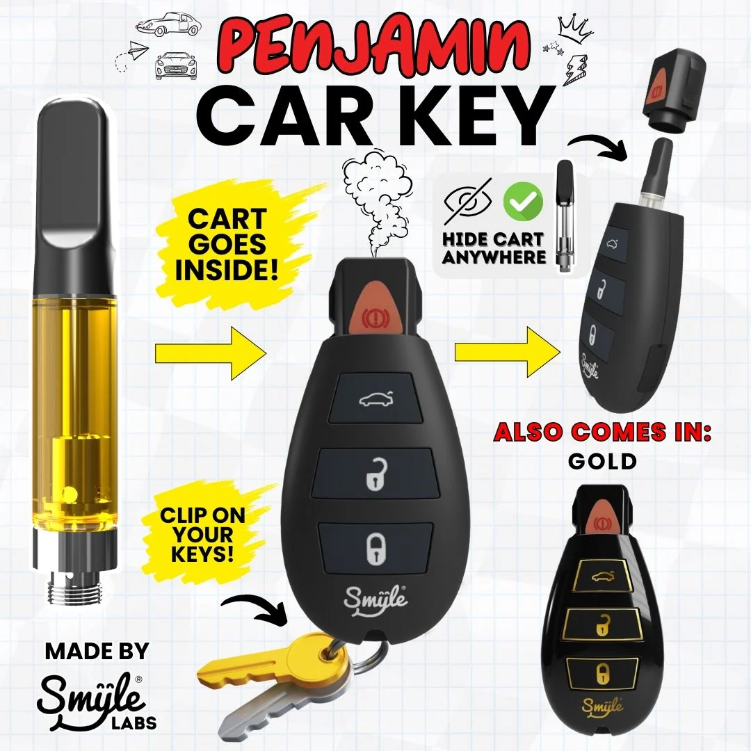 Photograph of product: Car Key Penjamin by Smyle Labs