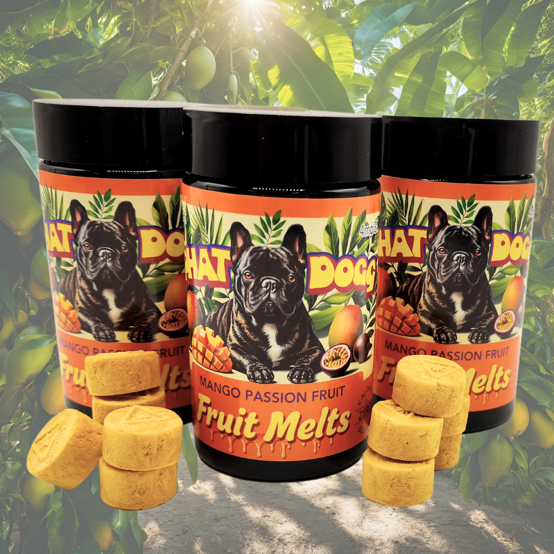 Photograph of product: Mango Passionfruit | Fruit Melts | 20 Pack (5mg)