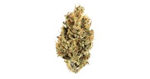 Photograph of product: Farm Science | Total Eclipse #3 - 28g