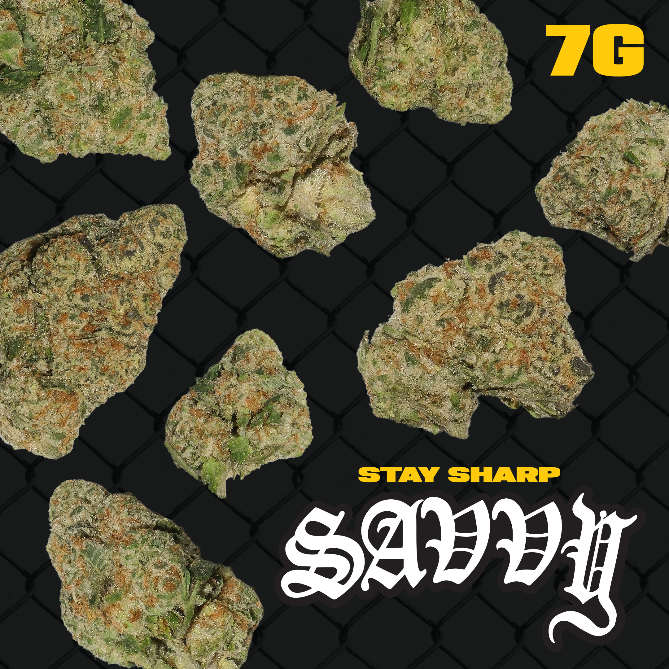 Photograph of product: Savvy Smalls 7g Modified Haze H 25933
