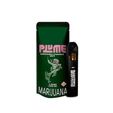 Photograph of product: Watermelon Sugar - Disposable 2G