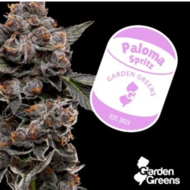Photograph of product: PALOMA SPRITZ 3.5G FLOWER