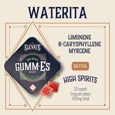Photograph of product: Elevate Waterita GummEs 10pk (250mg)