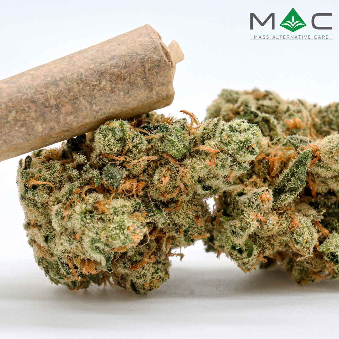 Photograph of product: Maui Wowie 2.0 Preroll | 1g | 27.36% TAC 1.57% Terpenes