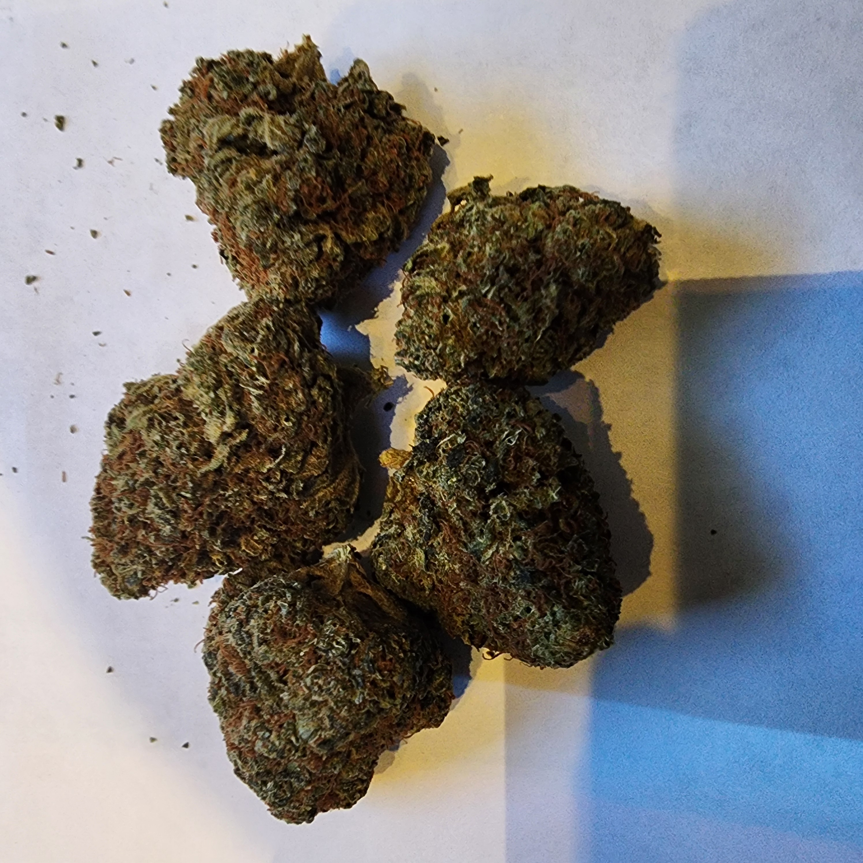 Photograph of product: Poison Valley - REC - Bulk - 28g