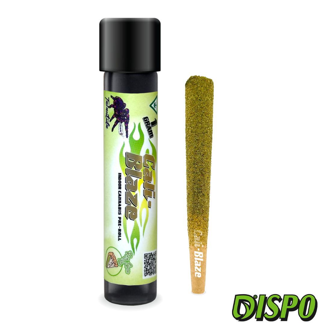 Photograph of product: Cali Blaze - Key Lime Pie 1G Infused Tarantula