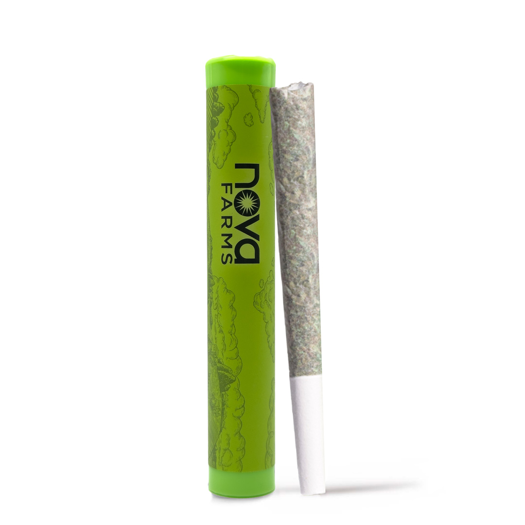 Photograph of product: Wookie Pie Pre-Roll | 1g