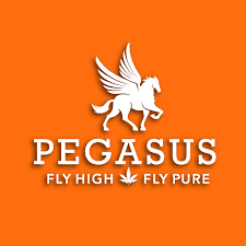 Photograph of product: Pegasus - Fremont Fog - Gold - BULK - 28g