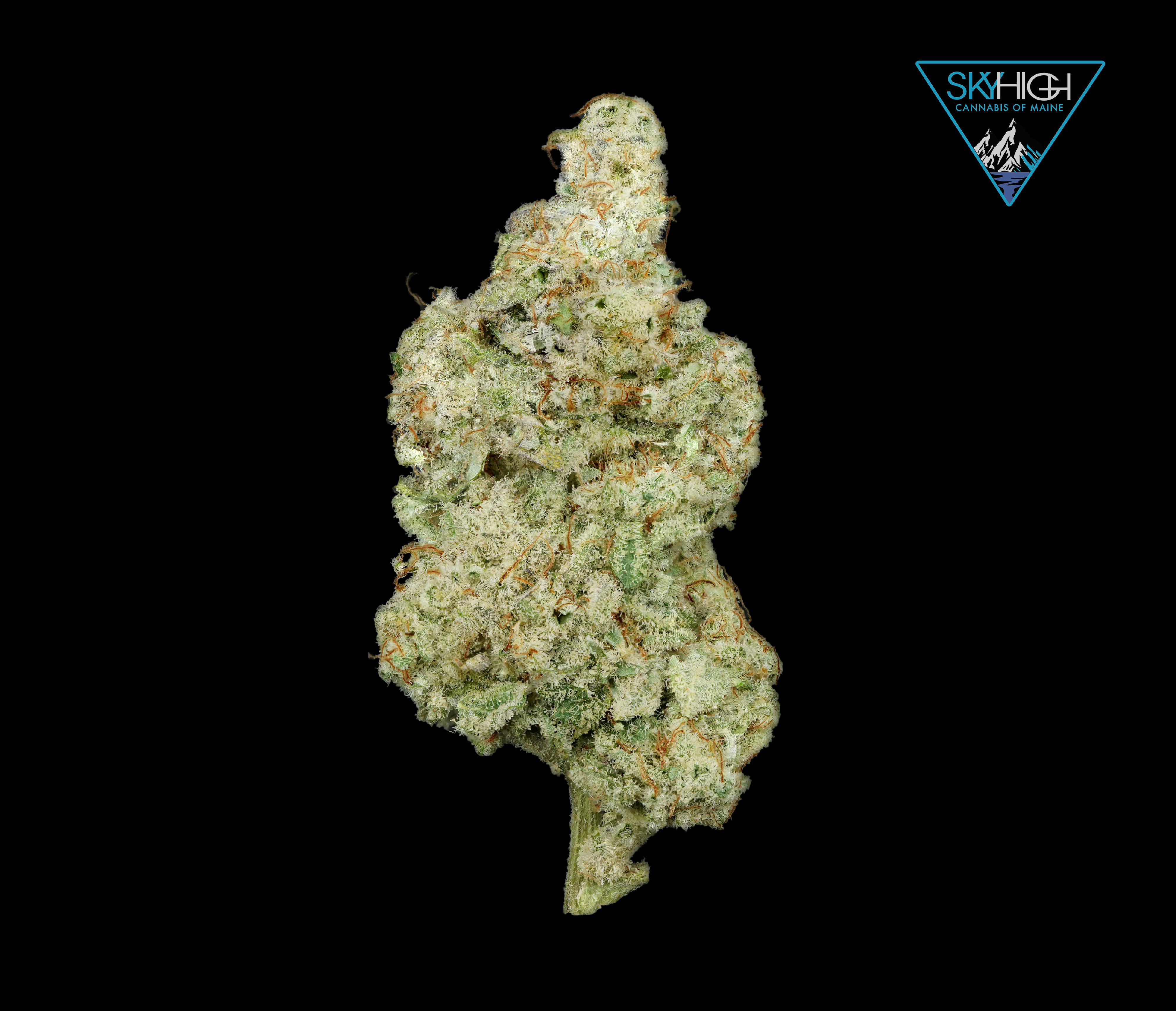 Photograph of product: (BULK) Mai Tai - 3.5g