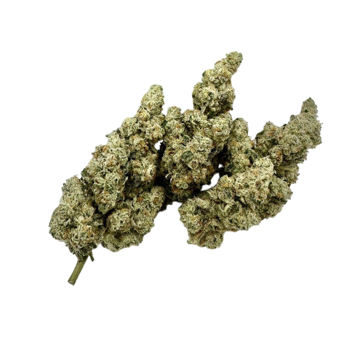 Photograph of product: Plant Nerd Cap Junky Buds - 28g
