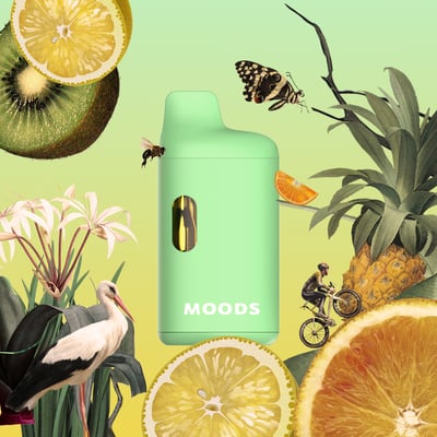 Photograph of product: Moods- 1g- Everglade Haze