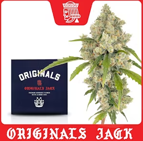 Photograph of product: Originals Jack 3.5 G - 3.5g