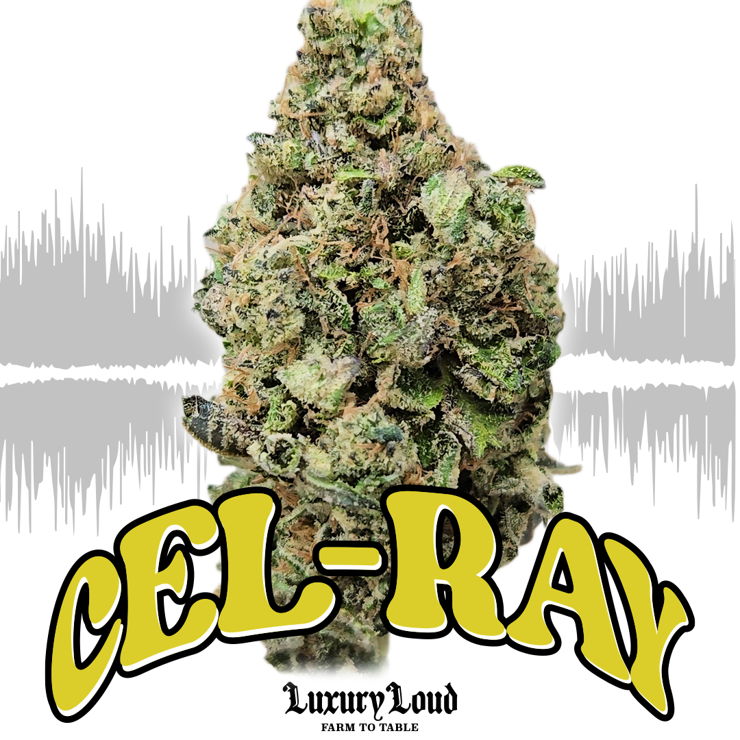 Photograph of product: BeBe's Cel Ray 1/2 oz 2-FOR - 14g