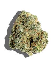 Photograph of product: Flower | Burmese Mimosa | Holistic - 28g