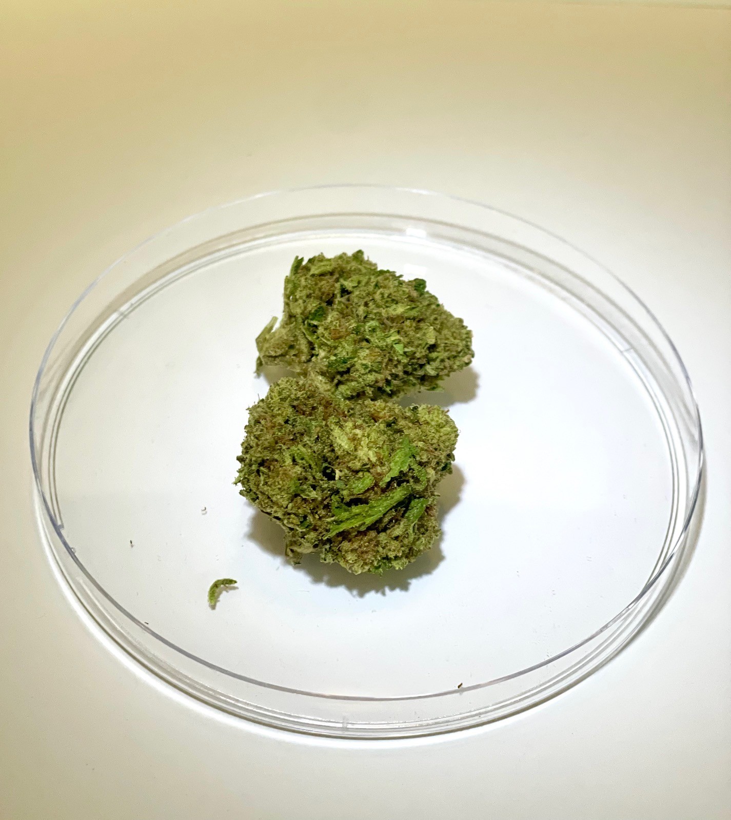 Photograph of product: Guanabana Punch - 28g