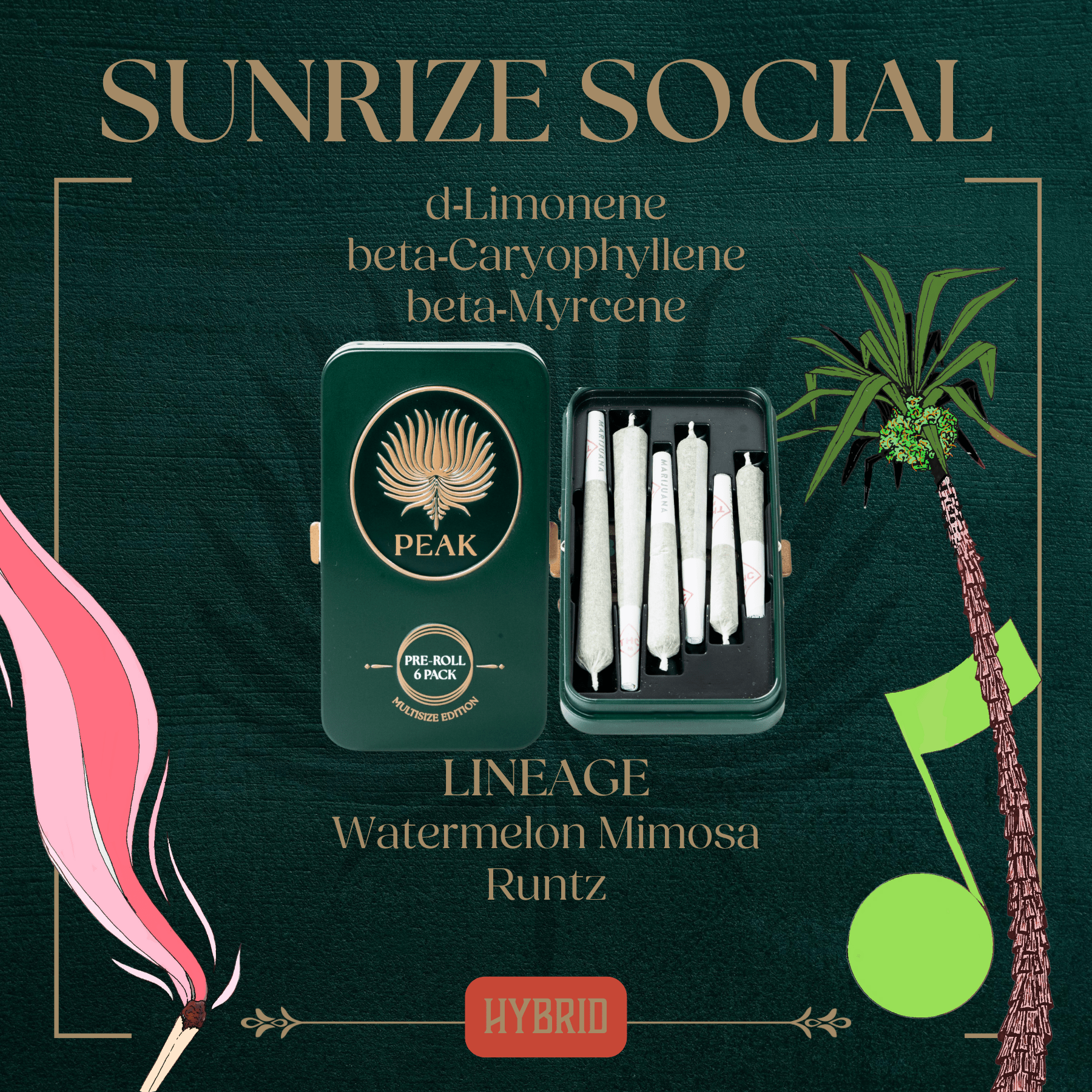 Photograph of Product: Sunrize Social Pre-Roll Multi Size | 6-pack