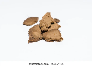 Photograph of product: RH | Ice Cream Cake Bubble au chocolat | 1g