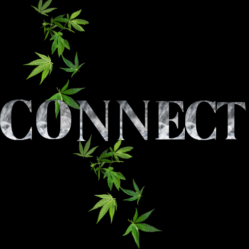 Photograph of product: Connect - Preroll - Monica Lewinski