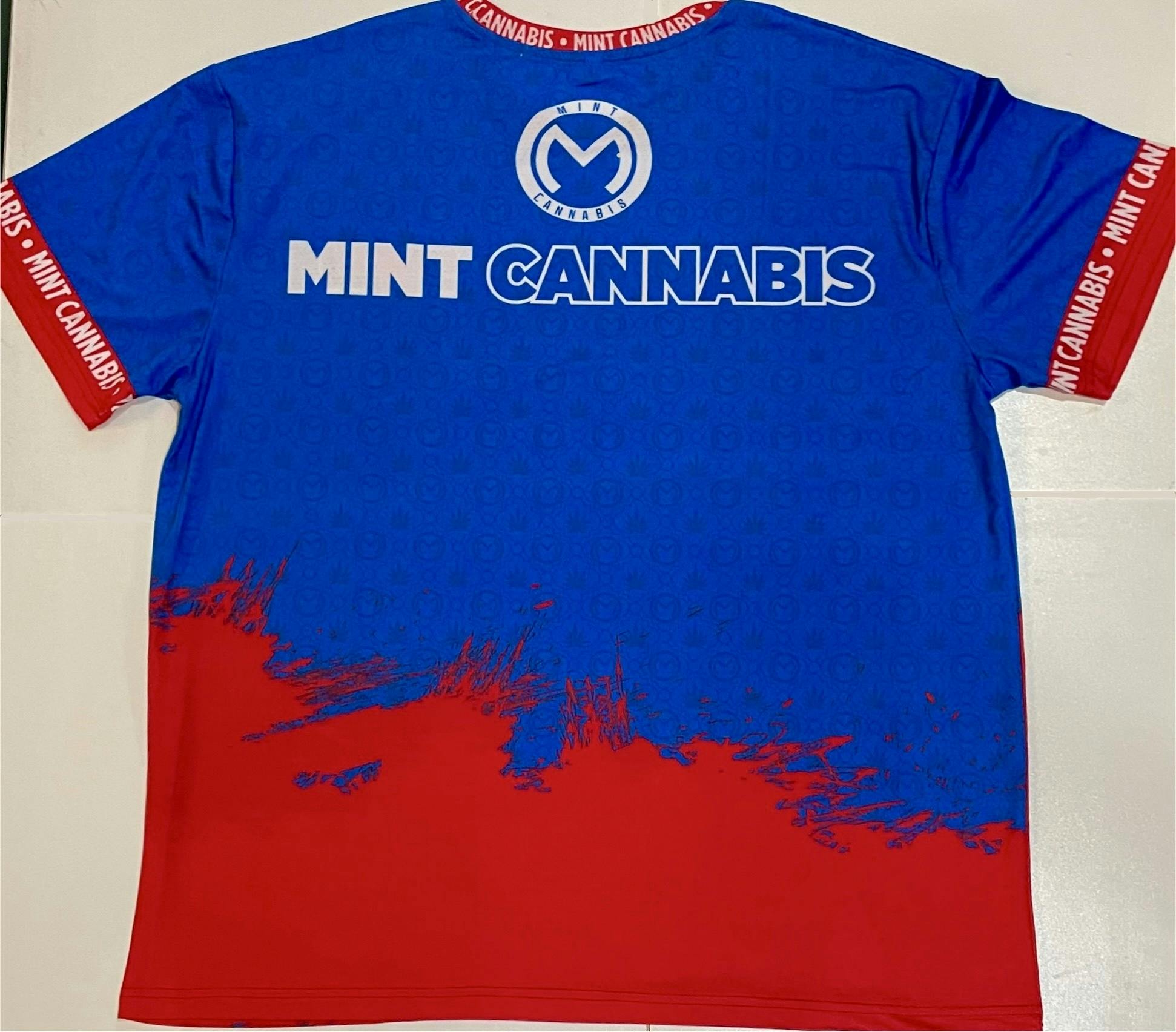 Photograph of product: Mint - Blue - Mint Jersey (LG)