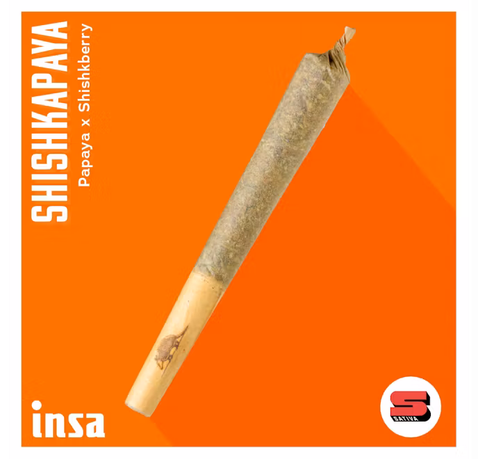 Photograph of product: Shishkapaya | Pre-Roll | 1g
