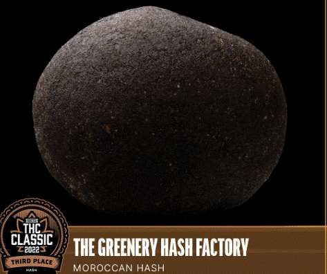 Photograph of product: Greenery au chocolat Factory | 1g Moroccan au chocolat | Miracle Alien Cookies (S)