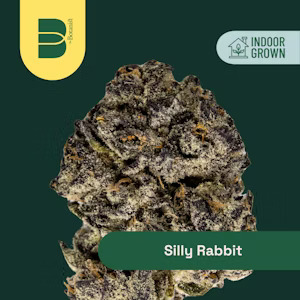 Photograph of product: Silly Rabbit | Pre-roll | 1g (H)