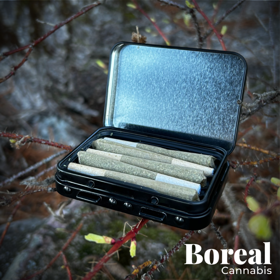 Photograph of Product: Boreal Cannabis - South African Kwazulu 5x.5 PR