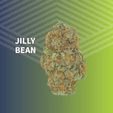 Photograph of product: Jilly Bean Whole Flower - 1g