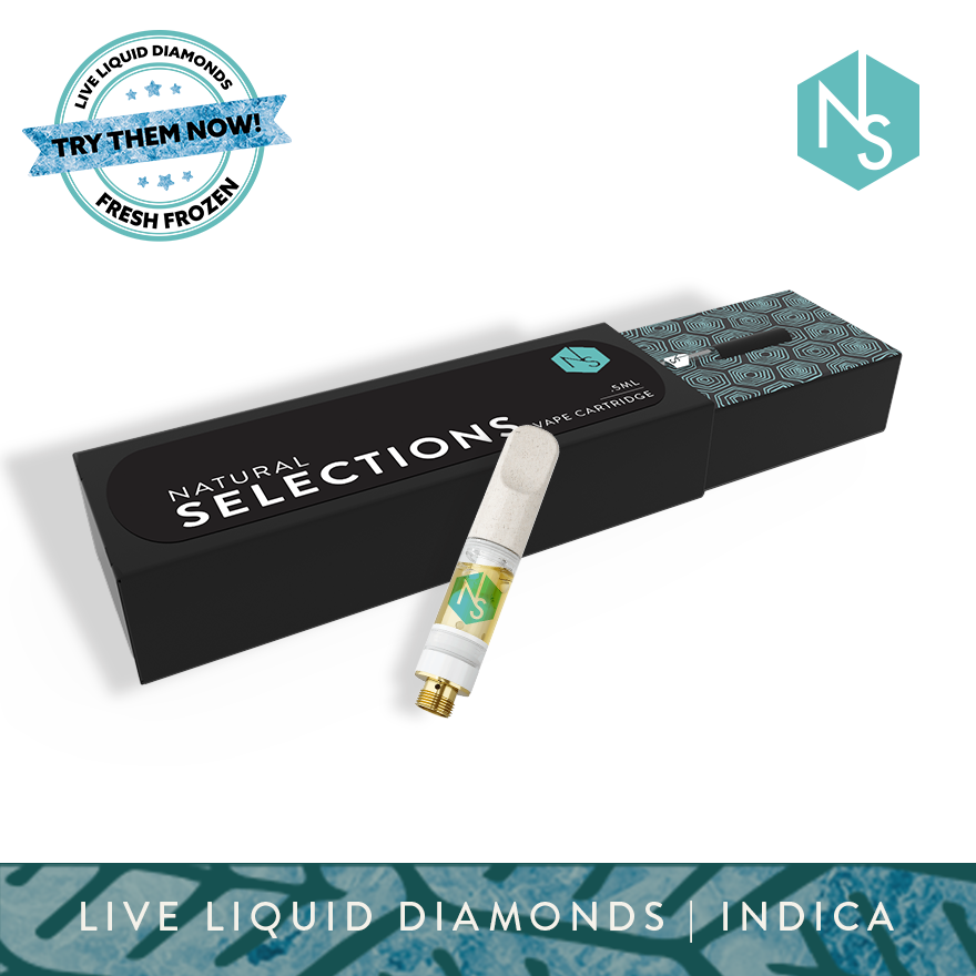 Photograph of Product: Sled Dog | Live Resin Liquid Diamond Cartridge | 500mg