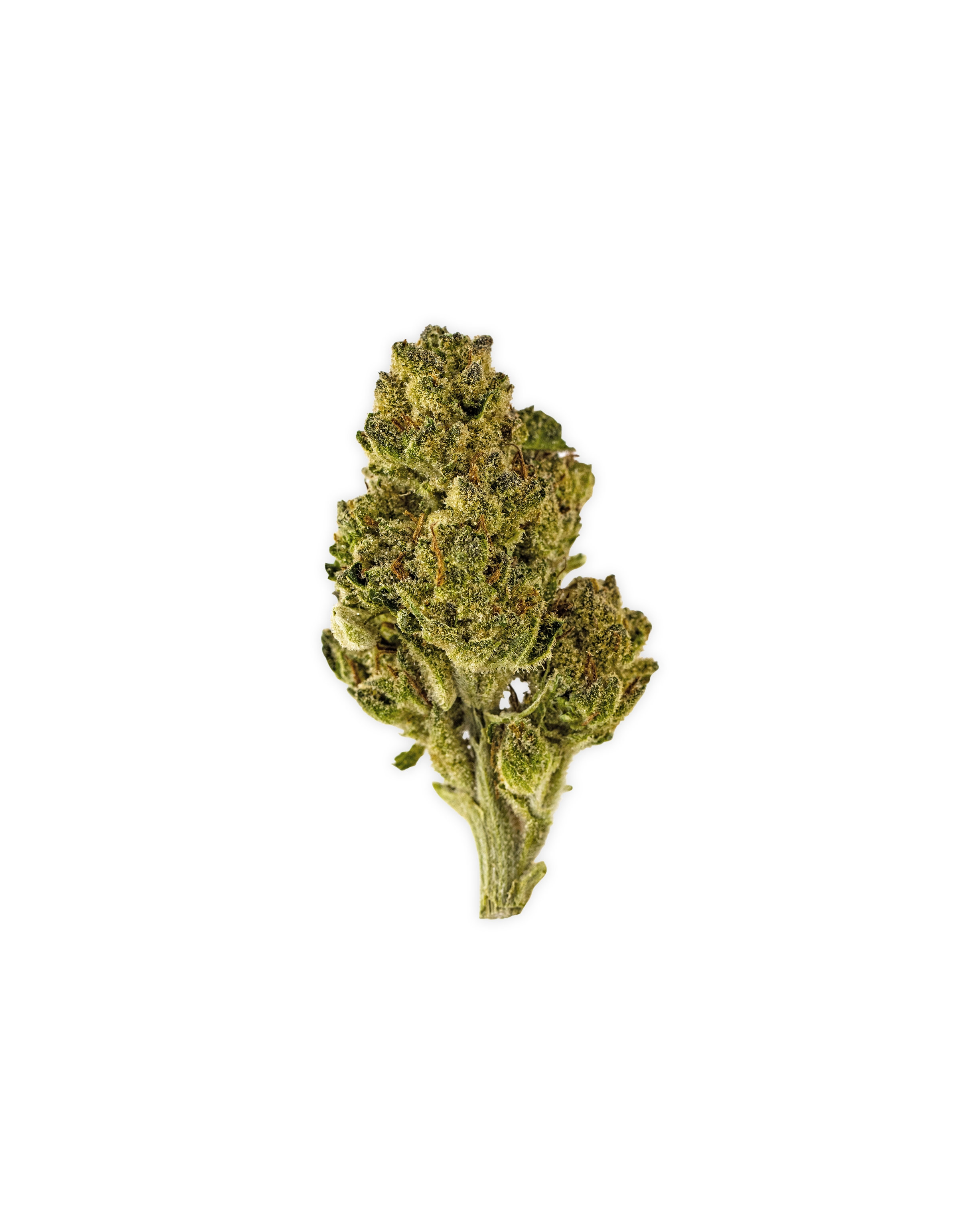 Photograph of product: BANANA HAZE | 3.5 g - 3.5g