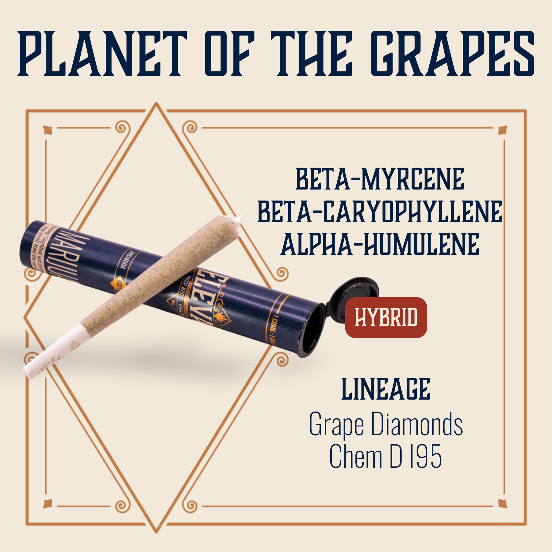 Photograph of product: Planet Of The Grapes Flower Pre-Roll | 1g
