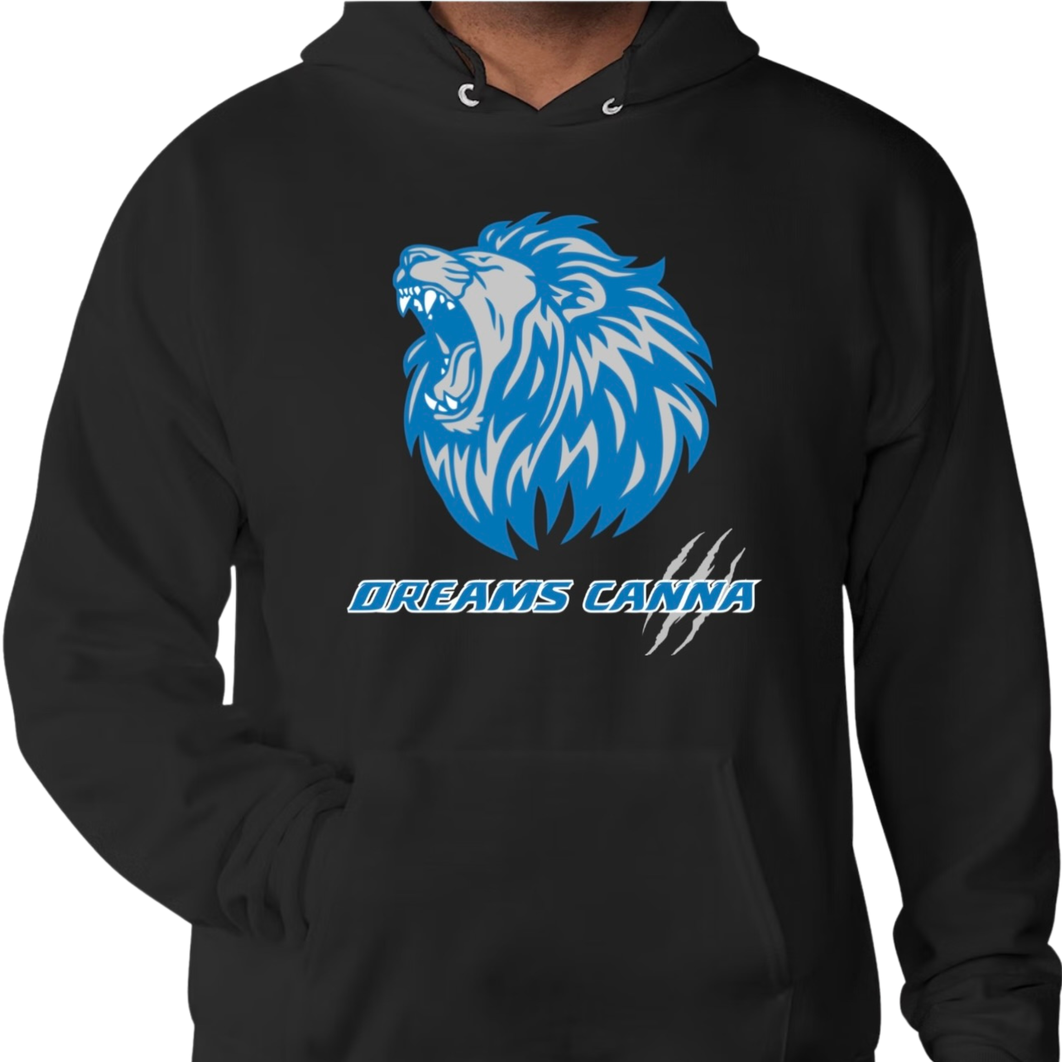 Photograph of Product: DETROIT LIONS DREAMS HOODIE
