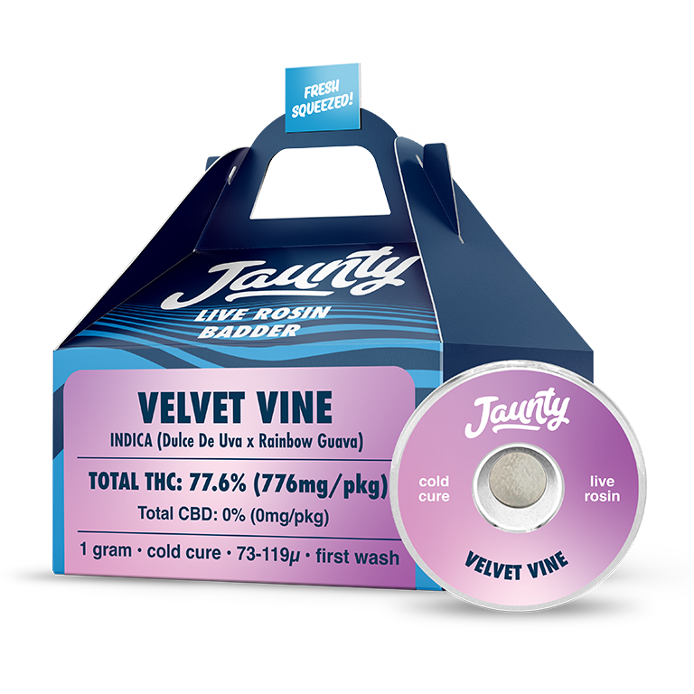 Photograph of product: Jaunty - Velvet Vine - Live Rosin Badder - 1g