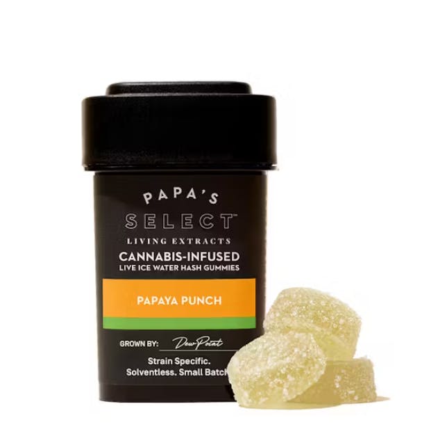 Photograph of product: PAPA & BARKLEY PAPA'S SELECT PAPAYA PUNCH 100MG GUMMIES