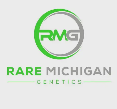 Photograph of product: Rare Michigan Flower - Cloud Cake - 28g