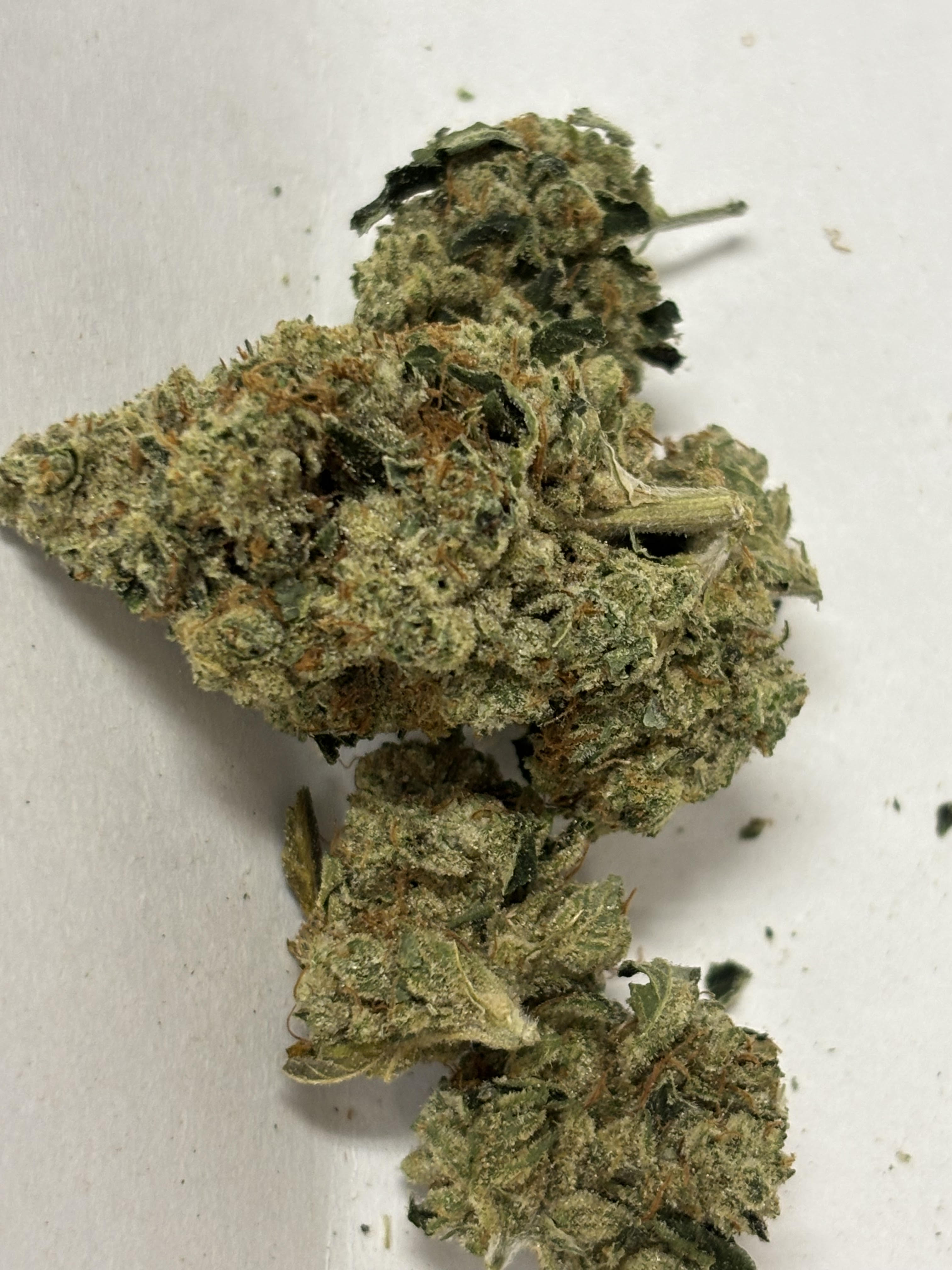 Photograph of product: Chief Premium Motorbreath 3.5G