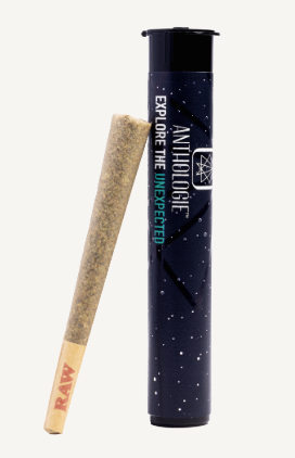 Photograph of product: Anthologie - Citradelic Sunset Pre roll 1G