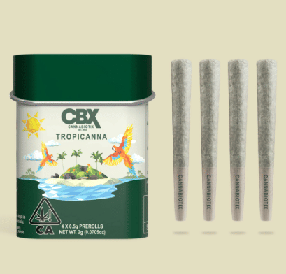 Photograph of product: Tropicana | 2g Pre-roll Tin - 